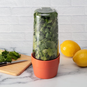 Hutzler Herb Saver Storage Container - Keep Asparagus and Herbs Fresh Longer