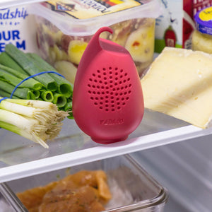 Hutzler Refrigerator Freshener Odor Absorber Eliminator - Just Add Baking Soda